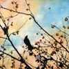 ..Between Us<br>Photo Encaustic<br>42 x 42 inches