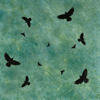 ..Untitled #50<br>Photo Encaustic<br>23 x 23 inches